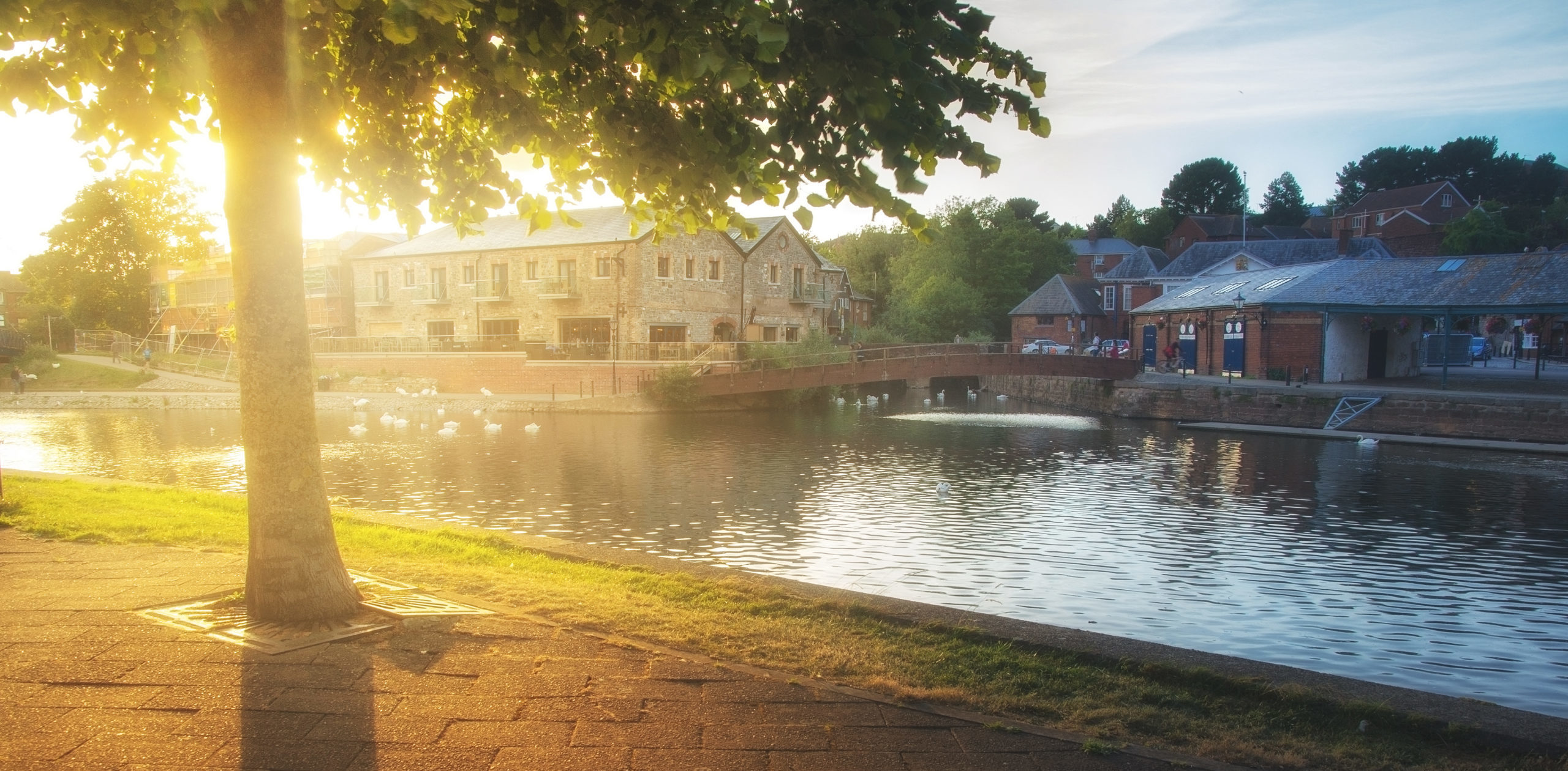 A sunset at Exeter's Quay with sun shining through a tree.