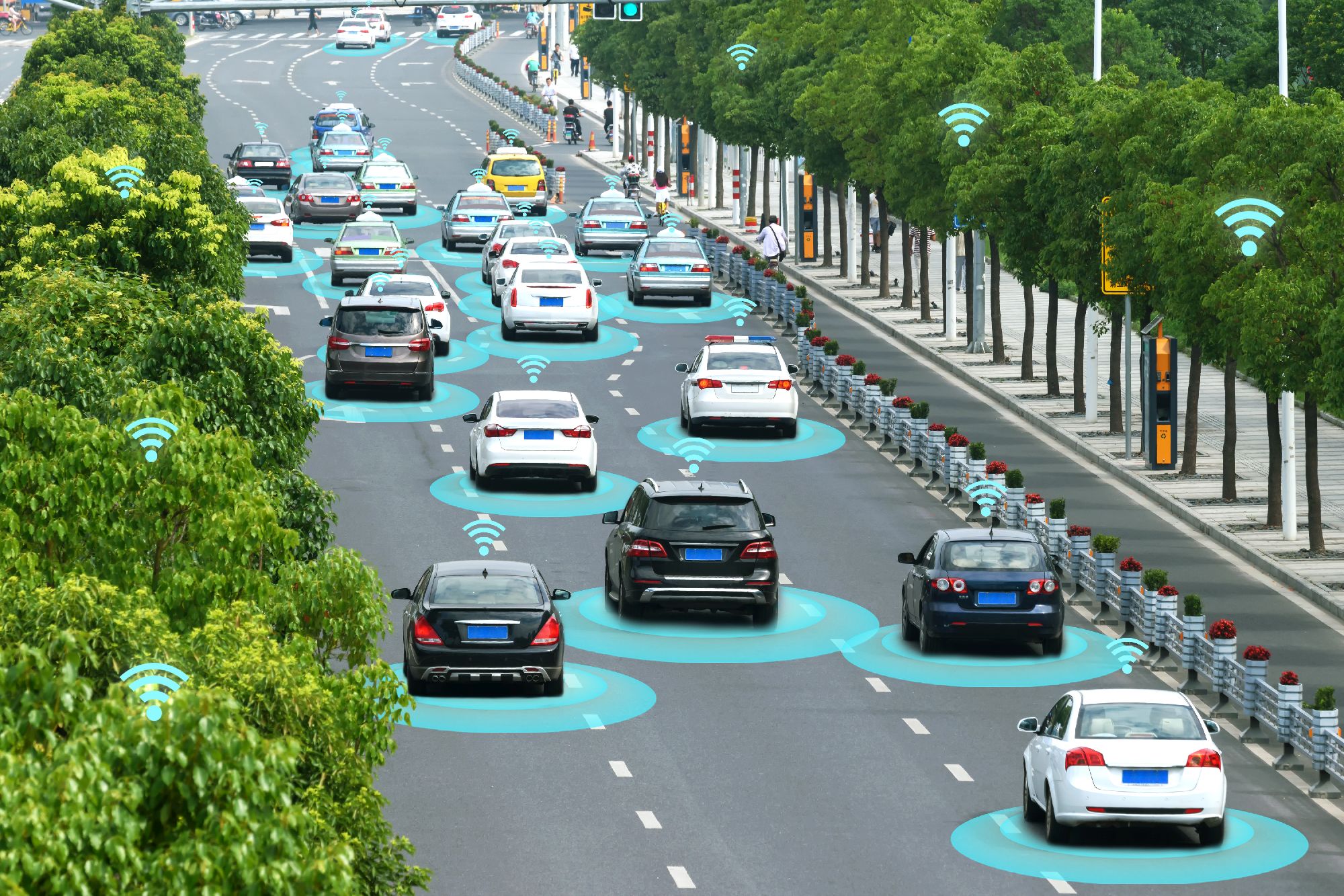 A road bordered by green trees has cars with blue circles and WiFi icons to illustrate smart autonomous technology - Innovation