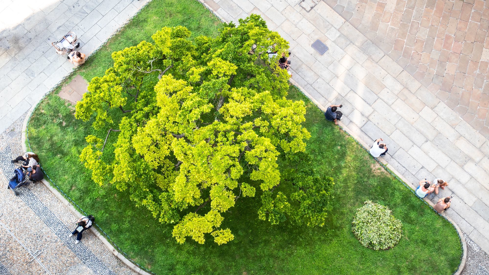 Bird's-eye view of people sitting at a green city park - Global City Futures